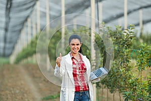 Satisfied woman agronomist in orchard