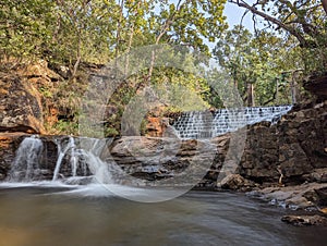 Satpura jungle