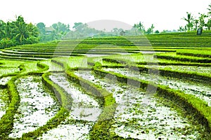 Satria Gatotkaca Statue