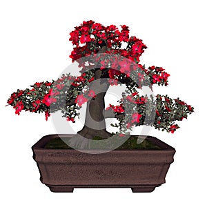 Satsuki azalea tree bonsai - 3D render
