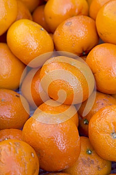 Satsuma Fruit in Basket