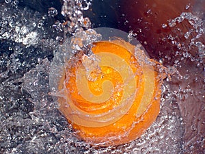 Satsuma Splash