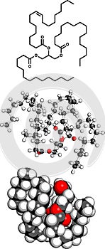 Saturated animal fat triglyceride (butter, cheese, beef, etc) molecular model