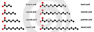 Saturated fatty acids: butyric, caproic, caprylic, capric, lauric, myristic, palmitic and stearic acid. Stylized 2D renderings.