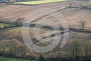 Saturated fields on a UK farm after heavy rains