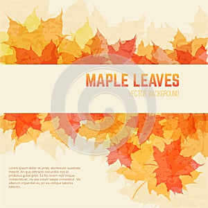 Saturated maple leaves background with space for text. photo