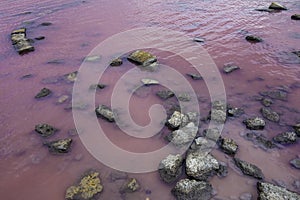 Saturated pink water of Saki lake, Crimea