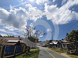 Saturday 27 April 2024 in Buol, beautiful view of the sky and dead trees on the side of the road