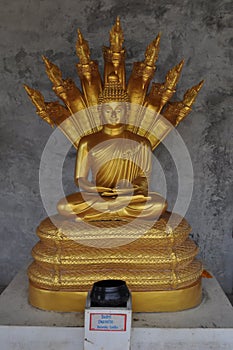 Saturday Buddha in gold