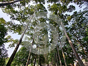 Saturday Morning at BKT