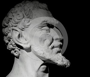 Satyr male bust with enigmatic smile photo