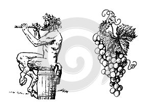 Satyr on the barrel 0f wine playing the flute and bunch of grapes. Vector