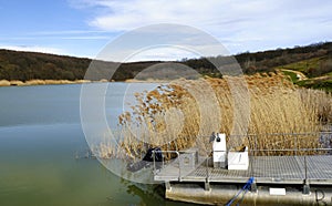 Sauaieu Lake Bihor Romania