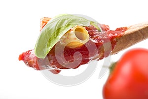 Sauce of tomatoes with maccaroni photo