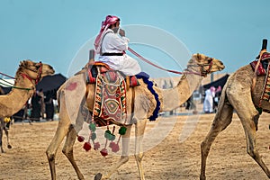 Saudi Arab Camel rider with his camel on traditional desert safari festival in abqaiq Saudi Arabia. 10-Jan-2020