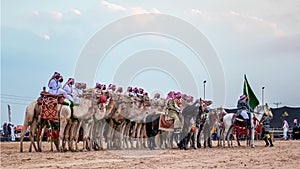 Saudi Arab Camel riders with their camels on traditional desert safari festival in abqaiq Saudi Arabia. 10-Jan-2020