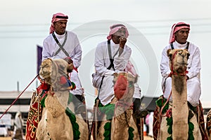 Saudi Arab Camel riders with their camels on traditional desert safari festival in abqaiq Saudi Arabia. 10-Jan-2020