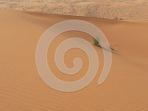 Saudi Arabia desert