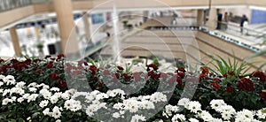 Saudi Arabia Riyadh airport inside views