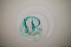 Saudi Hawks in Precision Flight