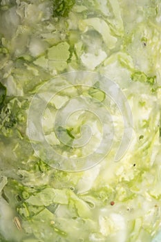 Sauerkraut closeup