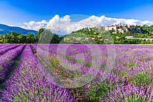 Sault, France - Provence lavender field scenic french village