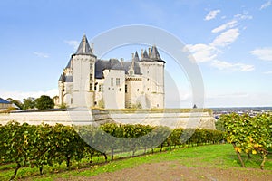 Saumur castle and vineyards