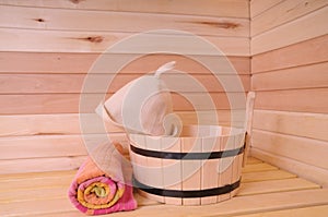 Sauna interior