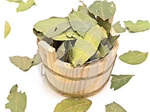 Sauna vat and bay leaves photo