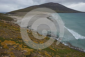 Saunders Island in the Falkland Islands photo