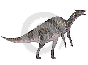 Saurolophus photo