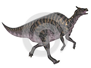 Saurolophus photo