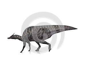 Saurolophus photo