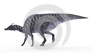 A Saurolophus photo