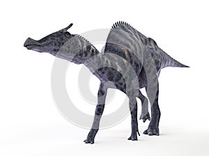 A Saurolophus photo