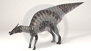 Saurolophus-Dinosaur