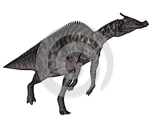 Saurolophus dinosaur - 3D render photo