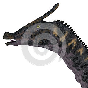 Saurolophus Dinosaur Head photo