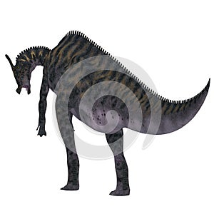 Saurolophus Dinosaur Tail photo