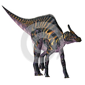 Saurolophus osborni Dinosaur photo