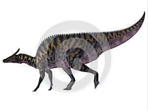 Saurolophus osborni Side Profile