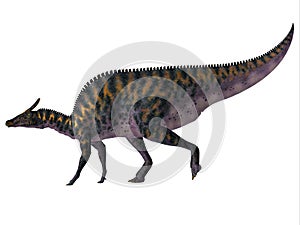 Saurolophus osborni Side Profile photo