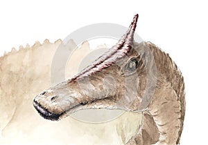 Saurolophus portrait photo
