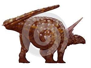 Sauropelta Dinosaur Tail