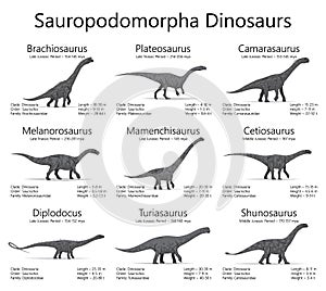 Sauropodomorpha dinosaurs. Monochrome vector illustration of dinosaurs isolated on white background. Set of ancient
