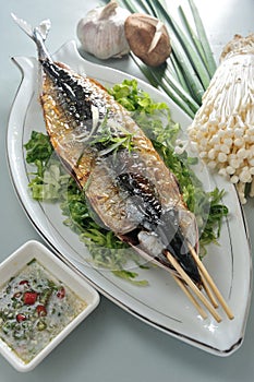 Saury