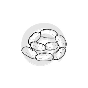 Sausage chain hand drawn sketch icon.