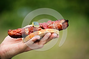 Sausage in hand green background nature barbecue