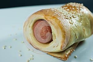 Sausage roll in the dough on a white plate