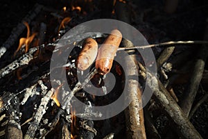 Sausages on the fire. Tasty food. Picnic in the forest. Picnic details